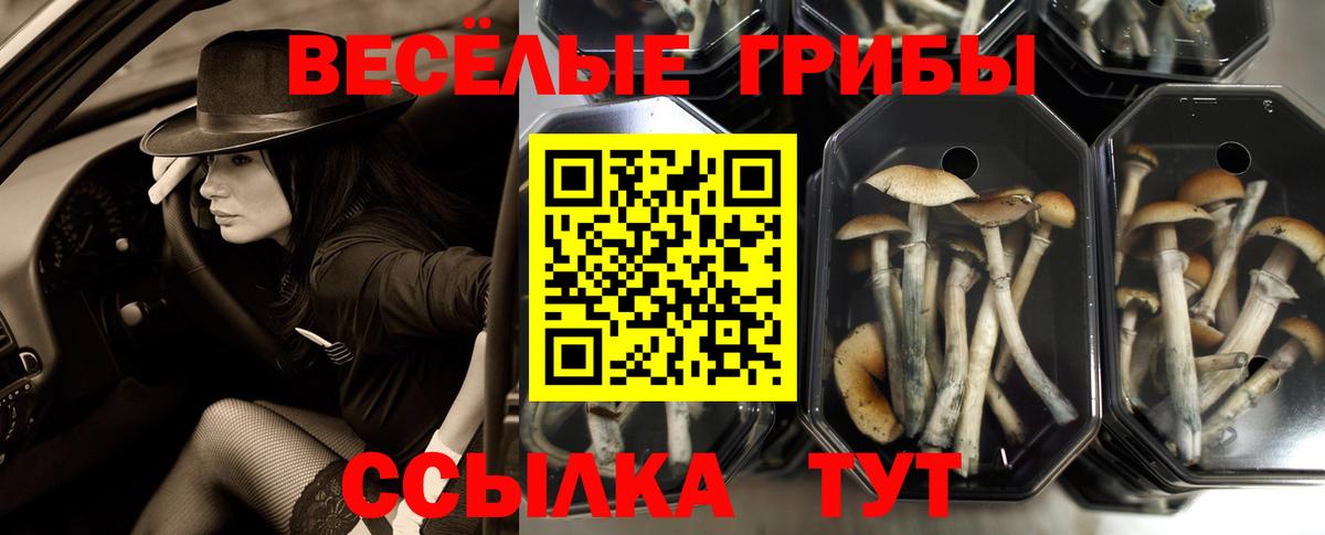 Галлюциногенные грибы GOLDEN TEACHER Ревда